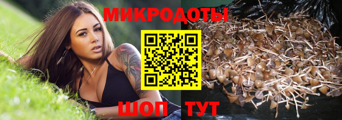 Псилоцибиновые грибы Psilocybe  Вход с VPN  Псилоцибиновые грибы прущие грибы  Батайск 